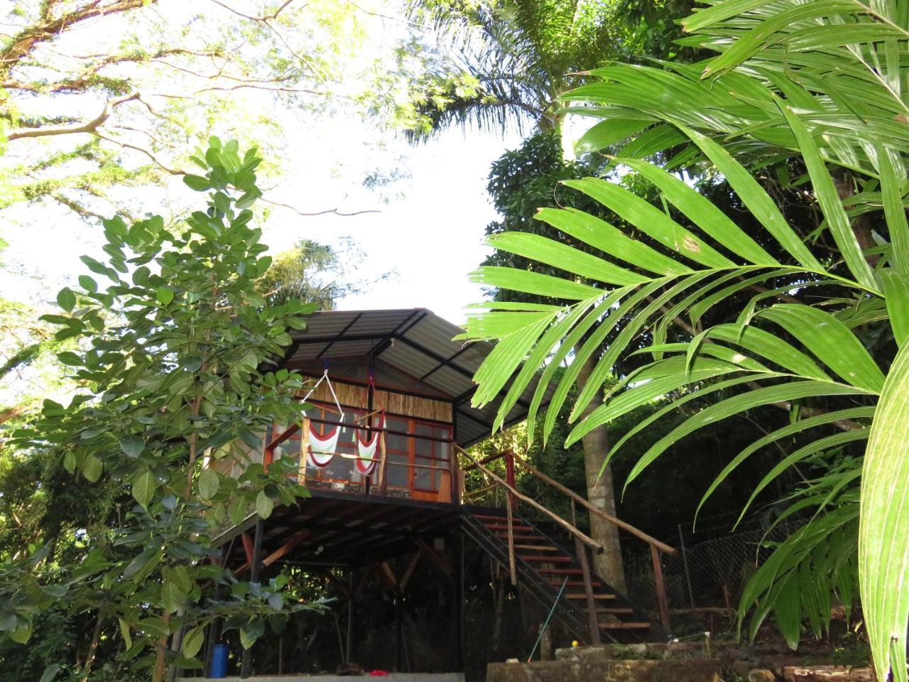La Bambouseraie Balgue Exterior foto